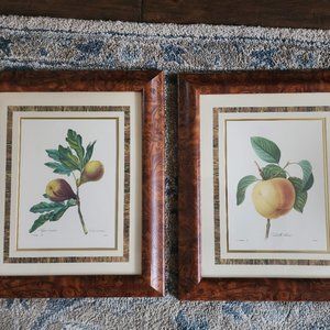 Set of 2 Numbered Pierre Joseph Redoute Wood Framed Prints